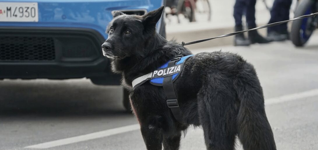 Sanzioni e controlli: proseguono le ispezioni della Polizia di Stato a Teramo