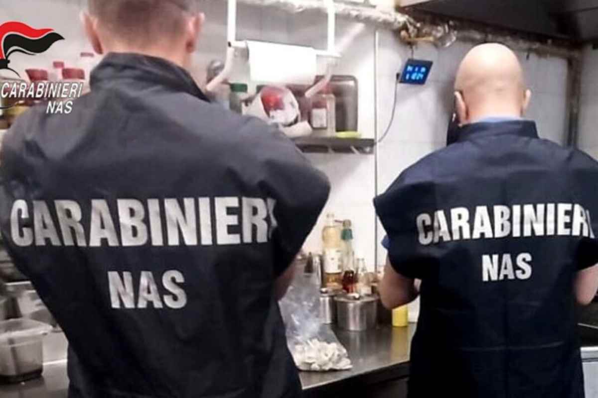 Scoperta incredibile in un ristorante di Castiglione delle Stiviere: trovata tartaruga invasiva