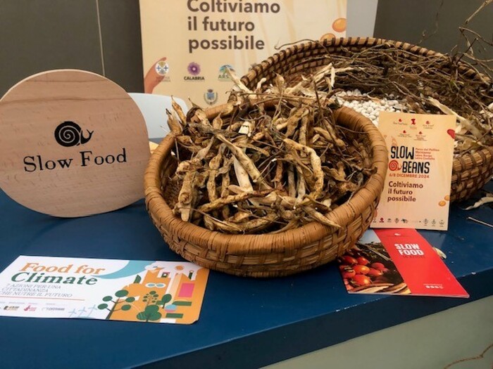 Slow Beans 2024: Il Pollino si prepara ad accogliere la comunità internazionale dei legumi