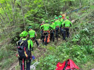 Tragedia Nel Bosco3A Un 86Enne