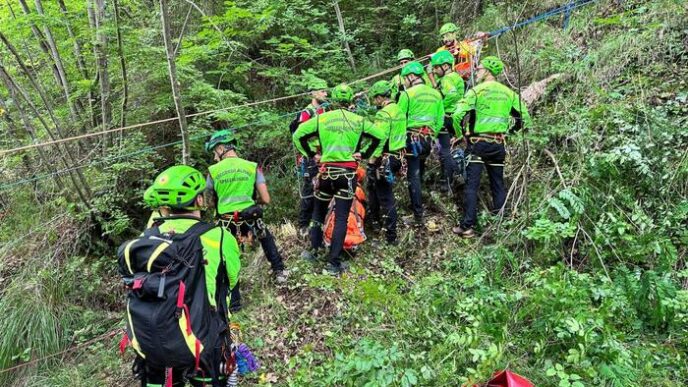 Tragedia Nel Bosco3A Un 86Enne