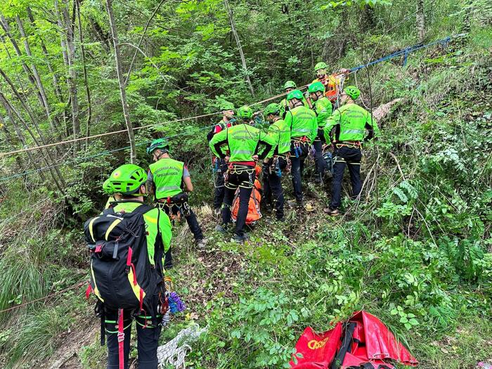 Tragedia nel bosco: un 86enne di Arsiero trovato senza vita durante la raccolta di legna