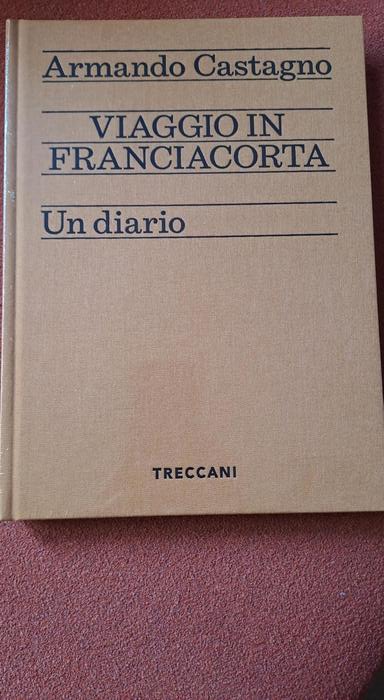 Un viaggio nel cuore della Franciacorta tra vini, luoghi e storie da scoprire