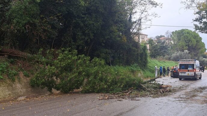 Vento Forte Devasta Le Marche3A