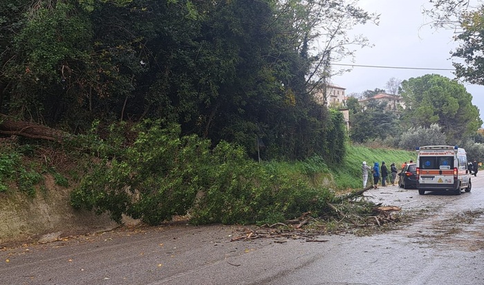 Vento forte devasta le Marche: 193 interventi dei vigili del fuoco in poche ore