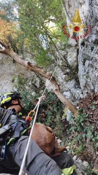 Vigili Del Fuoco In Azione A G