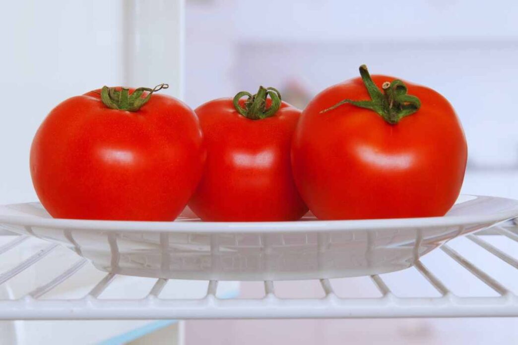 come conservare i pomodori in frigo