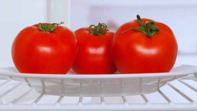 come conservare i pomodori in frigo