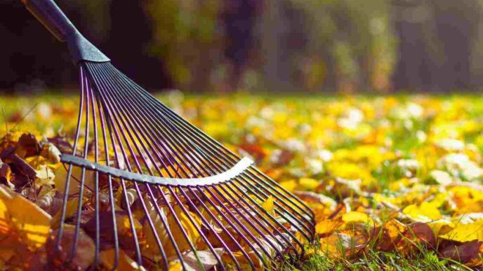 Perchè Non Bisogna Pulire Il Giardino In Autunno