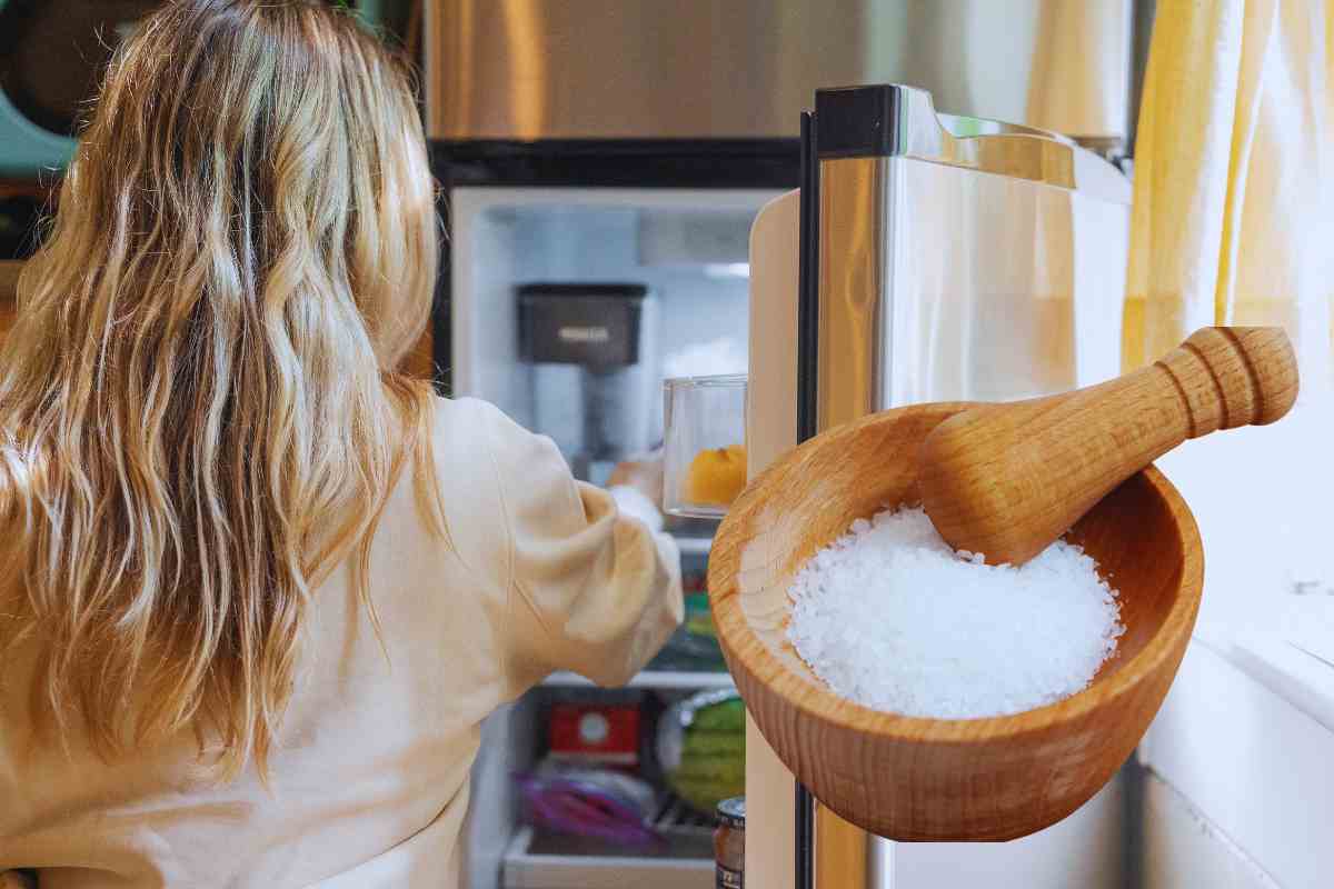 Metti subito un sacchetto di sale in frigo: ti cambierà la vita ma nessuno lo sa