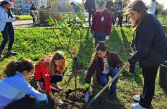 Centinaia di nuovi alberi per