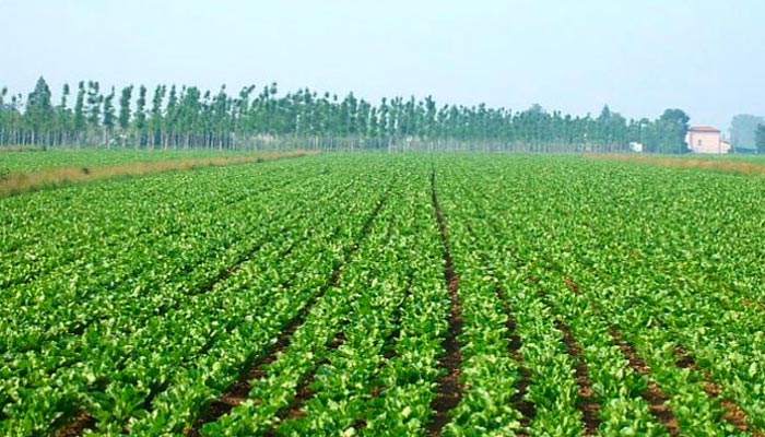 La crisi agricola in Abruzzo n