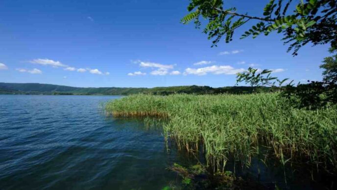 Riserva Naturale Lazio