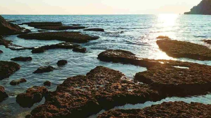 spiaggia di Minturno