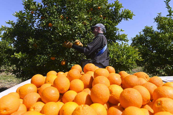 Nuove professioni in agricoltu