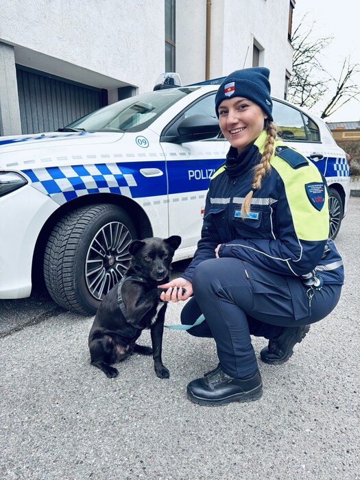 Polizia municipale di Bolzano3A