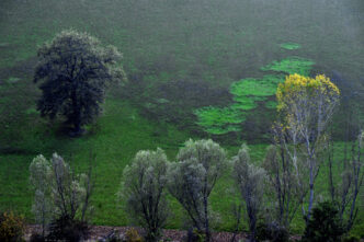 Progetto LIFE2B A GreeNet3A Anco