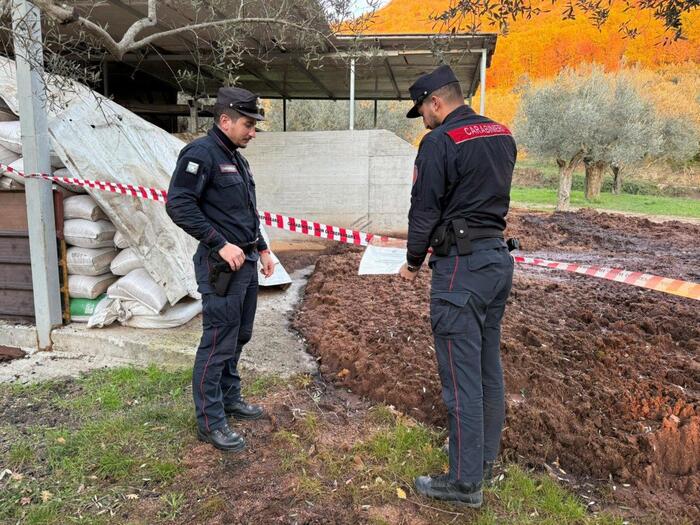 Sequestri di frantoio oleario