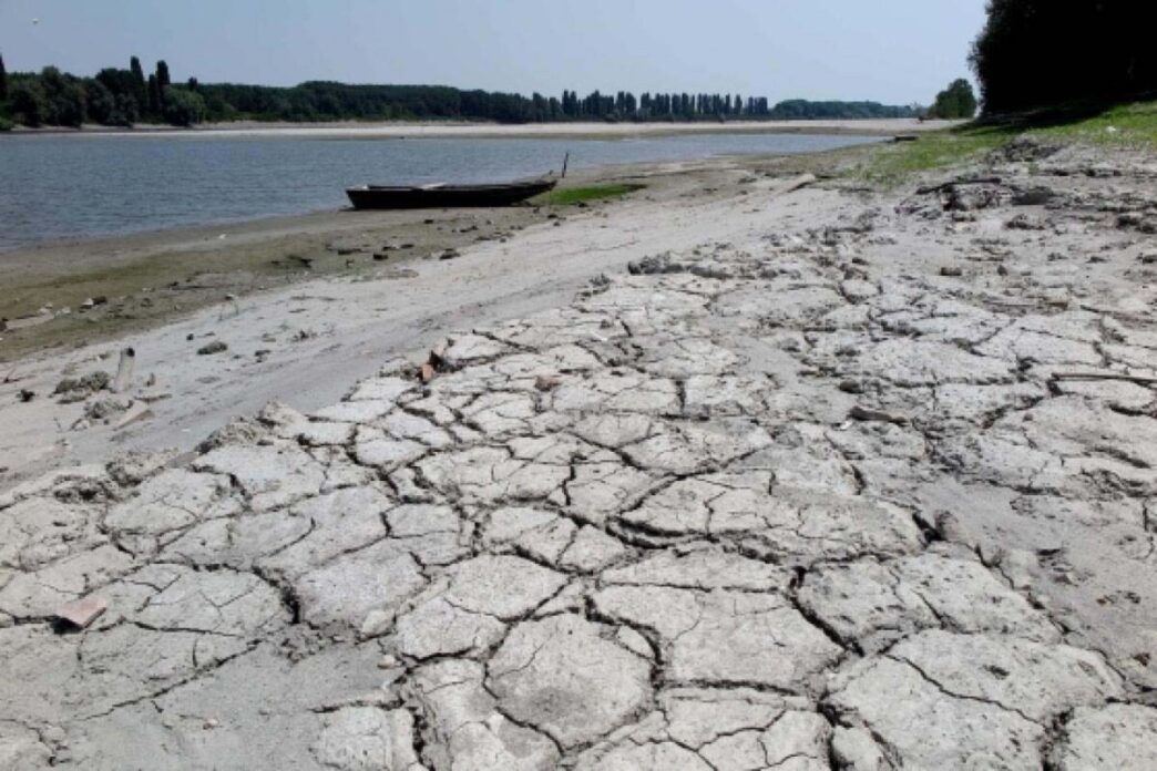 Sostegno alle aziende agricole