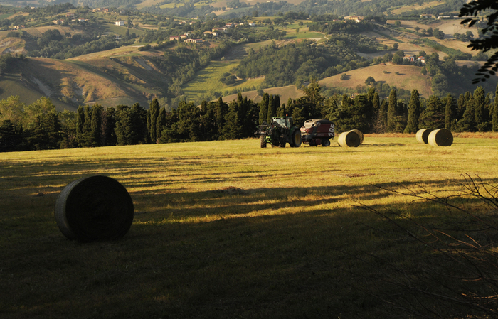 Sostenere il settore agricolo3A