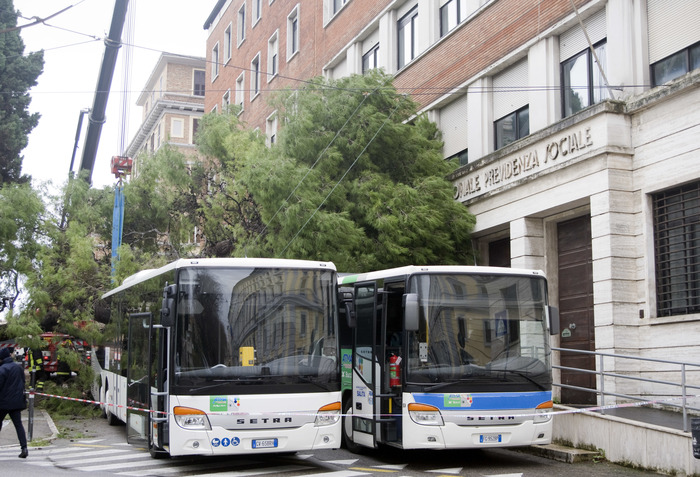 Venti forti ad Ancona causano