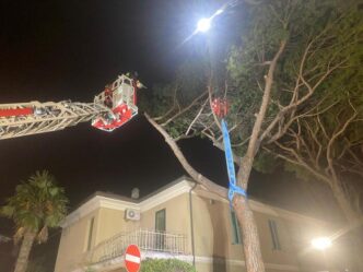 Vigilia di Natale a Senigallia