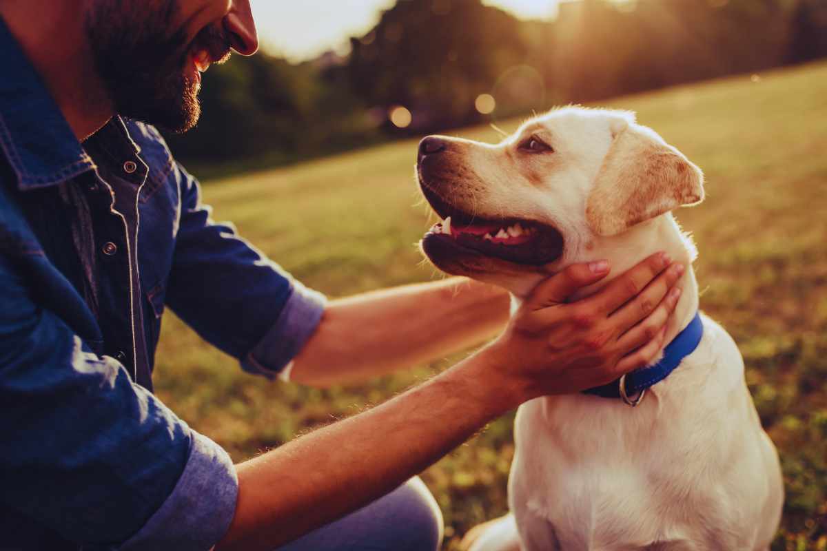 chi può avere il bonus animali