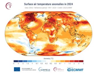 20243A un anno da record per le