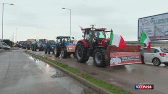 Agricoltori2C allevatori e pesc