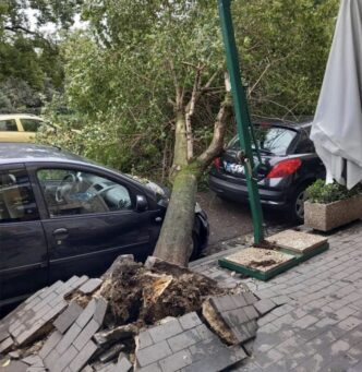 Crollo di un albero a Napoli3A