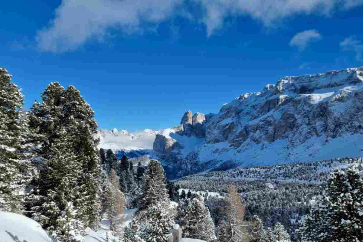 Dolomiti Friulane