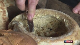 Il Casu Marzu3A il formaggio sa