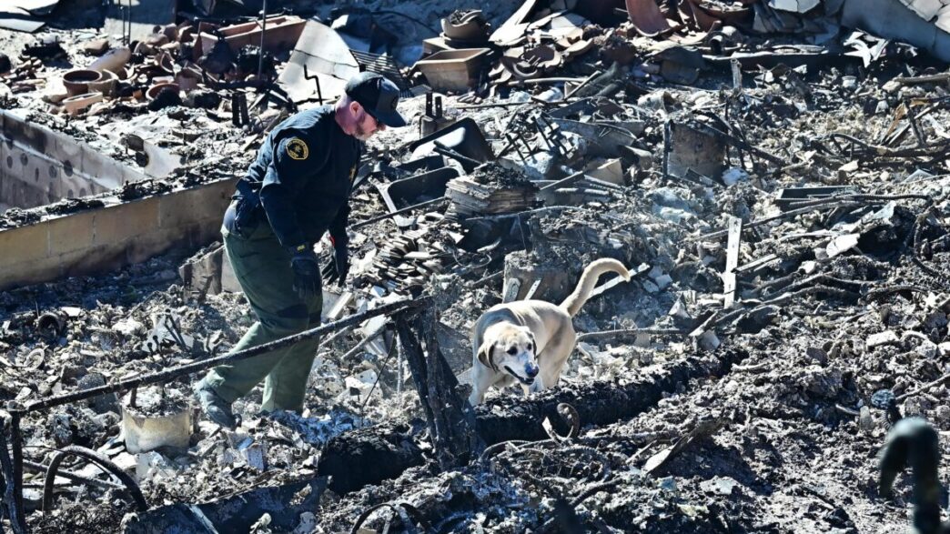 Incendi devastanti in Californ 1