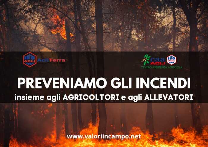 Incendi in Italia3A analisi dei