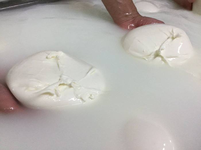 Mozzarella di Bufala Campana D