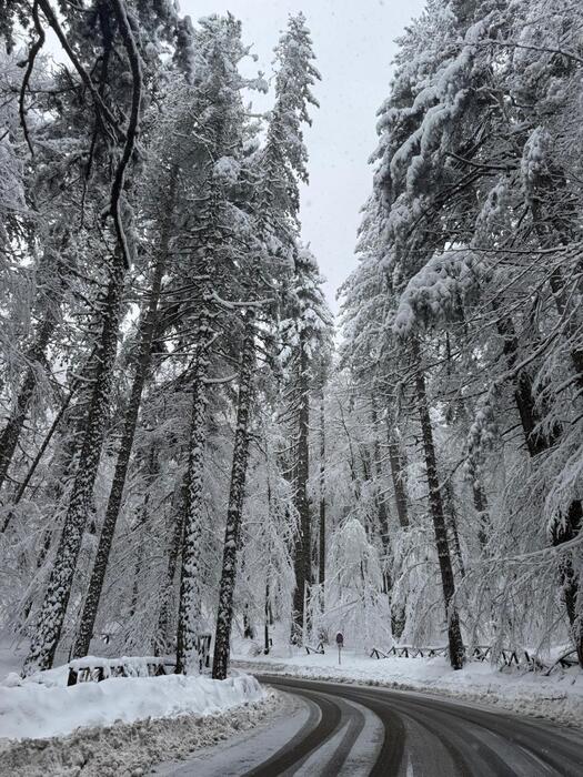 Neve e turisti3A la Calabria si