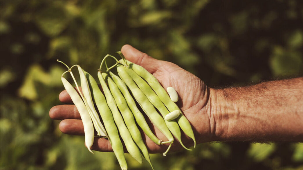 22Aggiungi un legume a tavola223A