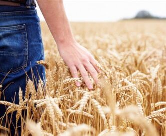 Agricoltori europei in protest