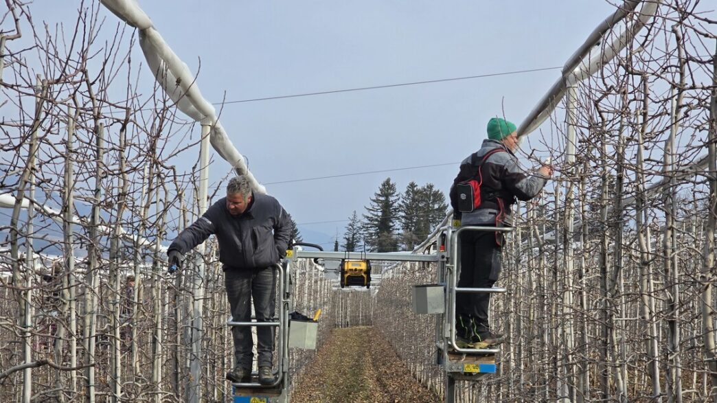 Agricoltura solidale in Trenti