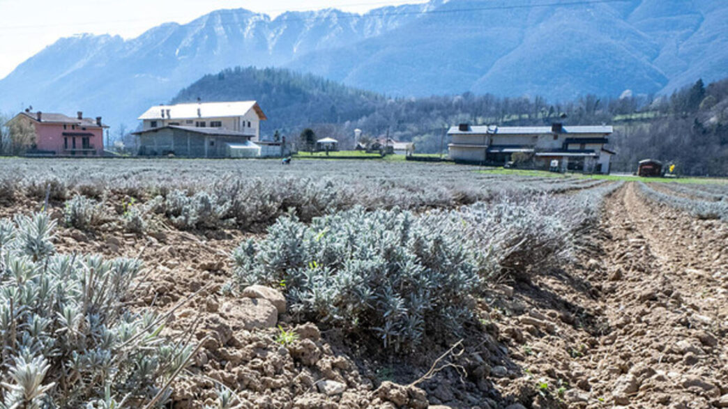 Cambiamento climatico3A l27incer