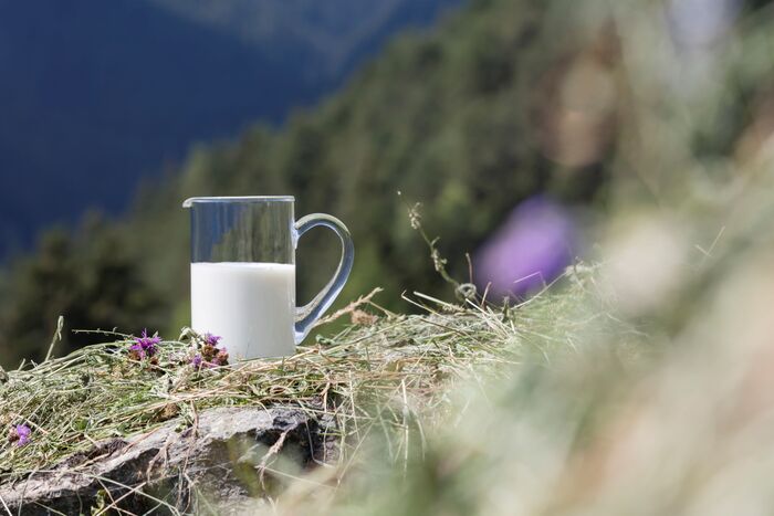 Cresce la produzione del latte