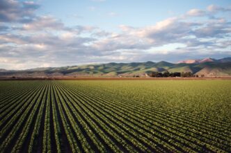 Crisi dell27agricoltura in Euro