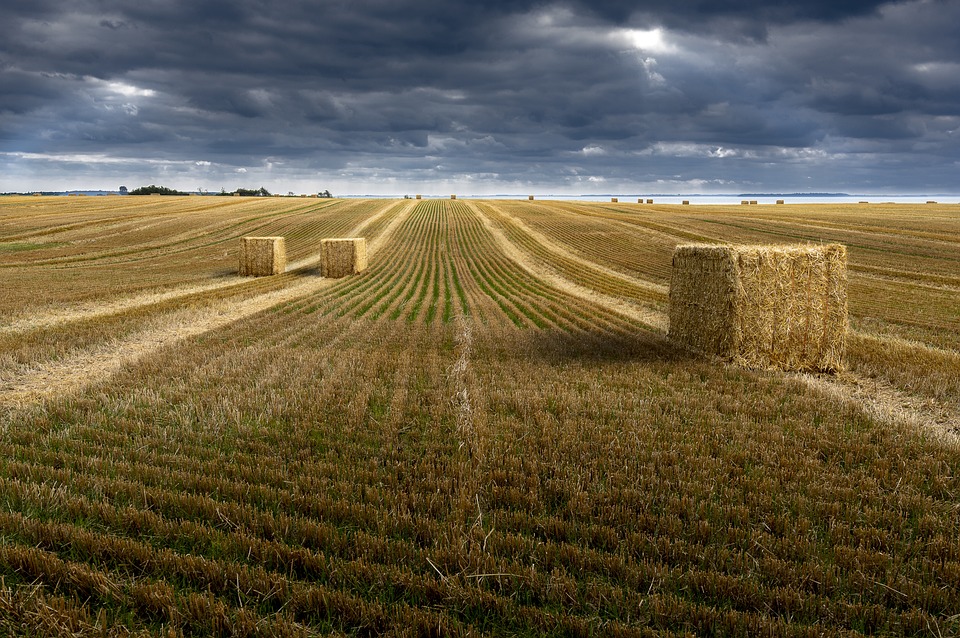 La filiera agroalimentare pont