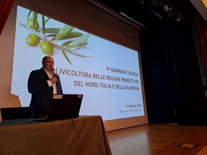 Produzione di olive e olio di