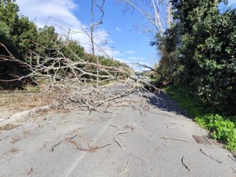 Situazione critica a Cerveteri