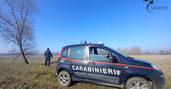 Tre agricoltori denunciati per