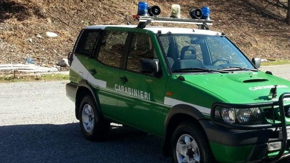 Arresti domiciliari per il pre