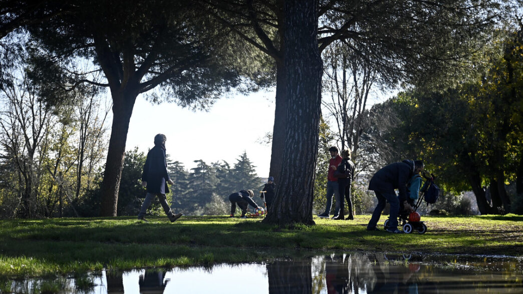 Celebrazioni della Giornata In