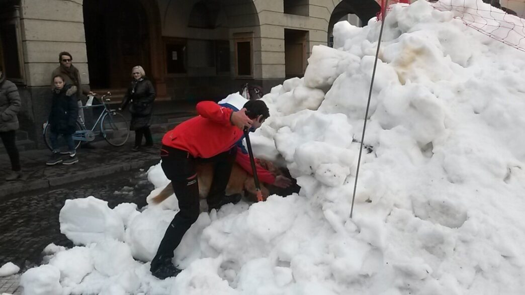 Corso nazionale di unitC3A0 cinof