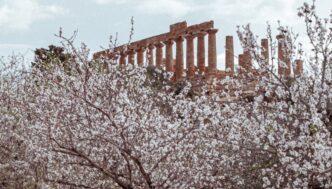 Scopri il Mandorlo in Fiore Ex